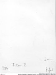 Historisches Foto (Rückseite) von Galatheites aiola (Robins et al., 2016) (NHMW-AFW-GEO-BACHMAYER-FOTO-1990-0041-0284)